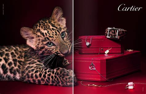 cartier campaigns|cartier brand identity.